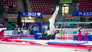 gam sfe02013 copia simone ferraro ph